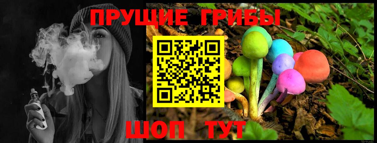 Псилоцибиновые грибы мицелий Унеча